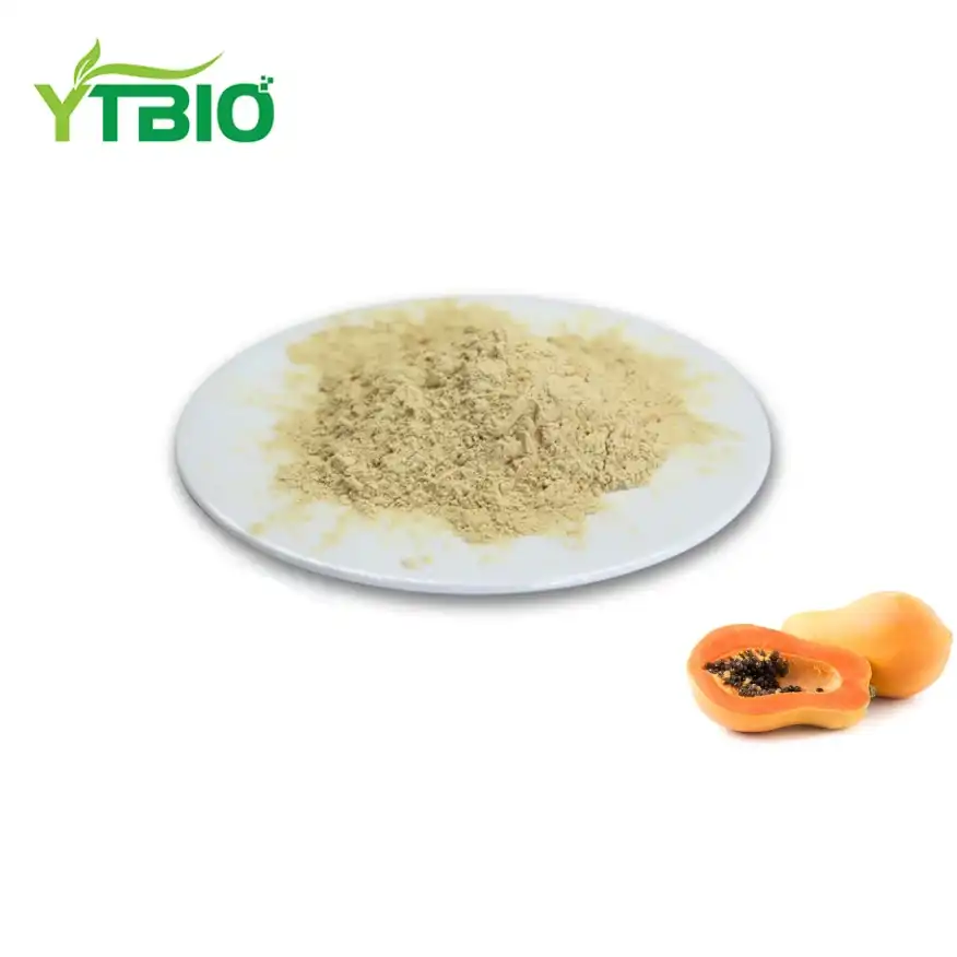 Bulk Papaya Powder